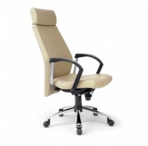 Cadeira presidente Ramsés, cadeira para escritório, cadeira corporativa